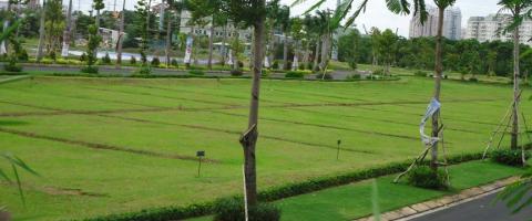 Công chứng hợp đồng chuyển nhượng đối với đất tách thửa đã mua bằng “giấy tay”?